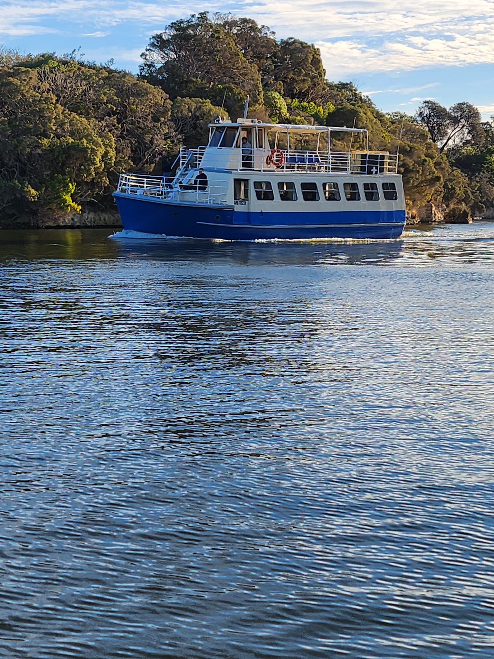 MV Mini Munya in evening light, close under the tree-lined bank
