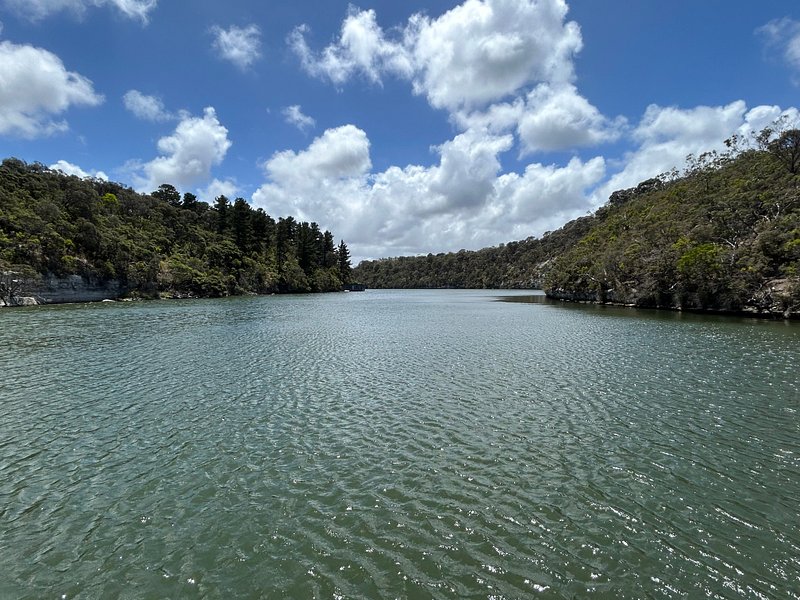 A wide reach of the Glenelg River with bushland on both banks